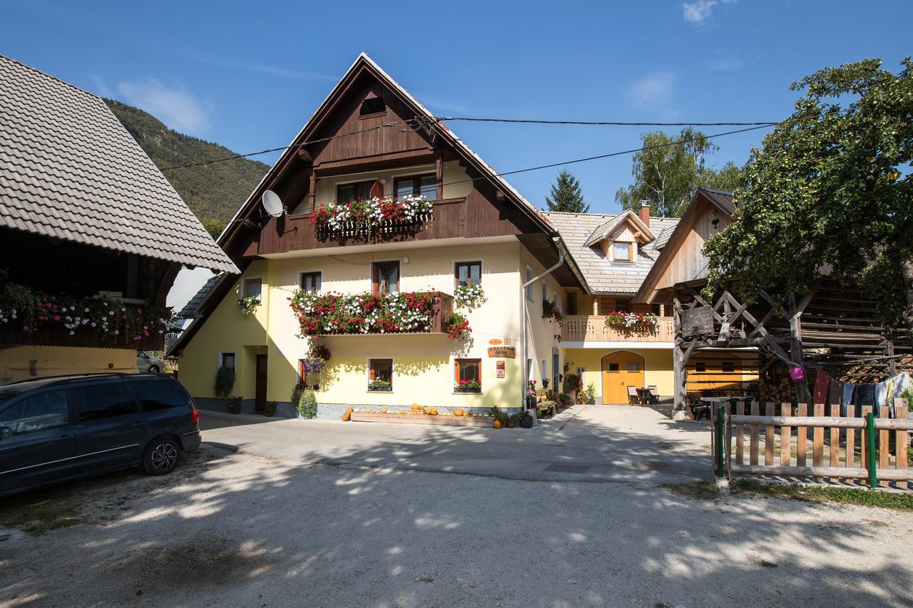 Farmhouse Pri Miklavu Bohinj Luaran gambar