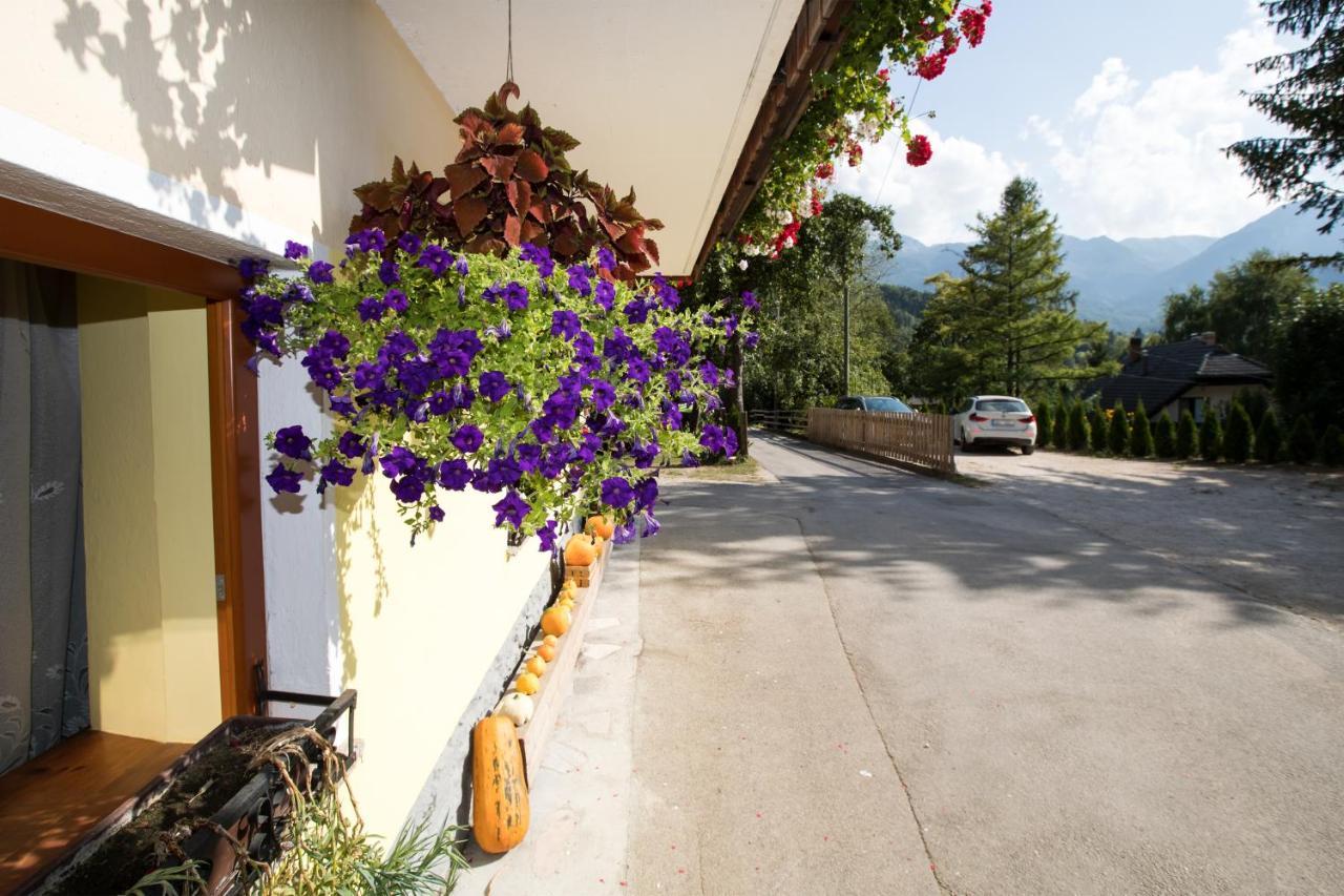 Farmhouse Pri Miklavu Bohinj Luaran gambar
