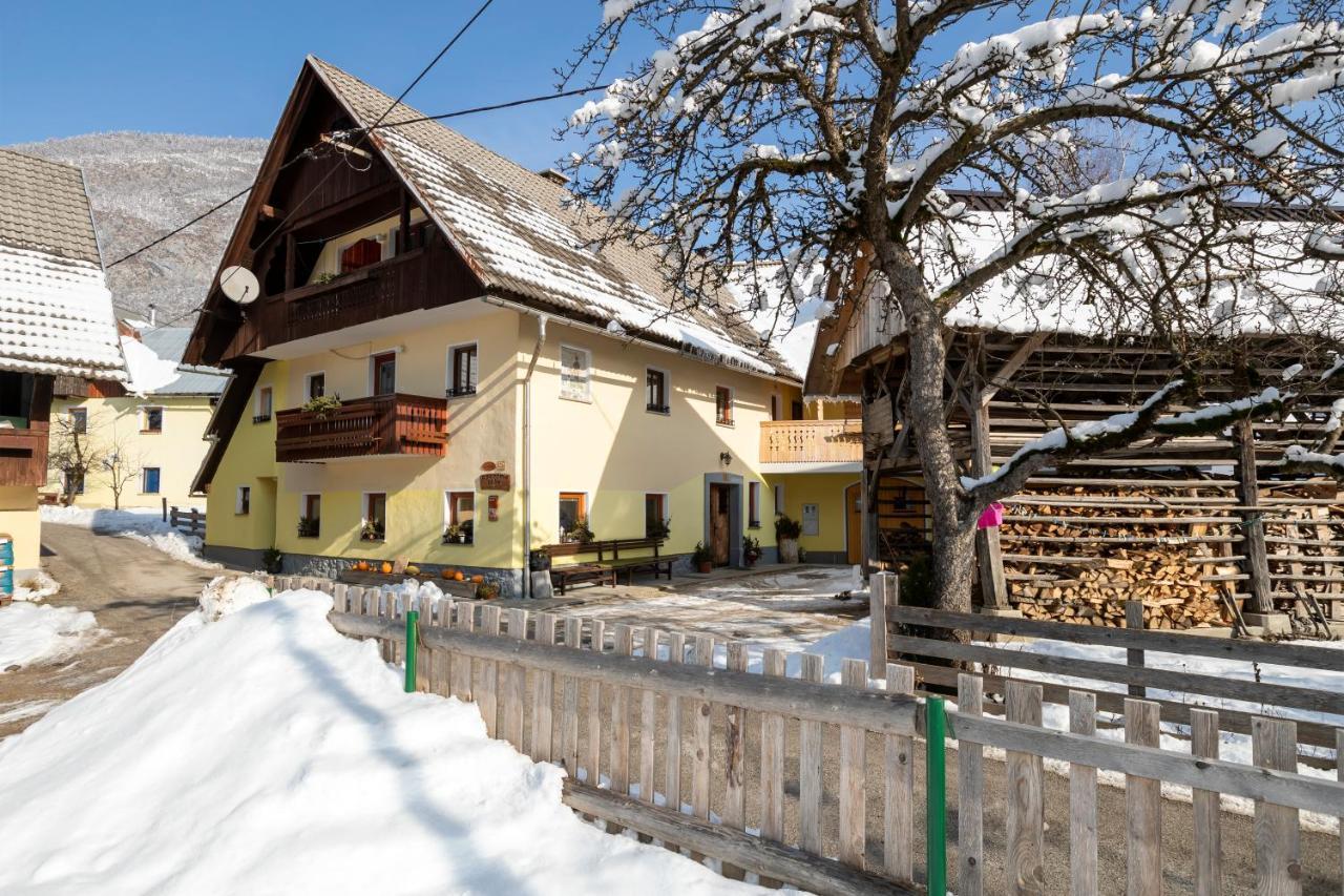 Farmhouse Pri Miklavu Bohinj Luaran gambar